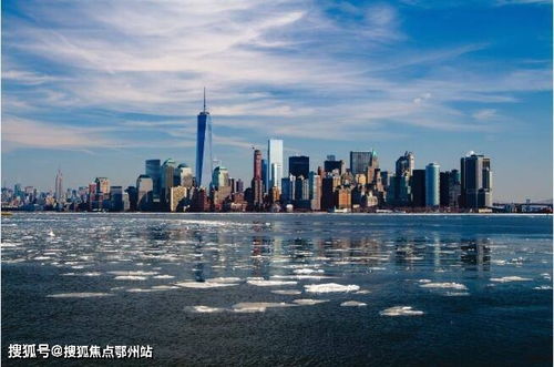 上海楊浦萊克大廈售樓處聯(lián)系方式與項(xiàng)目詳情解析